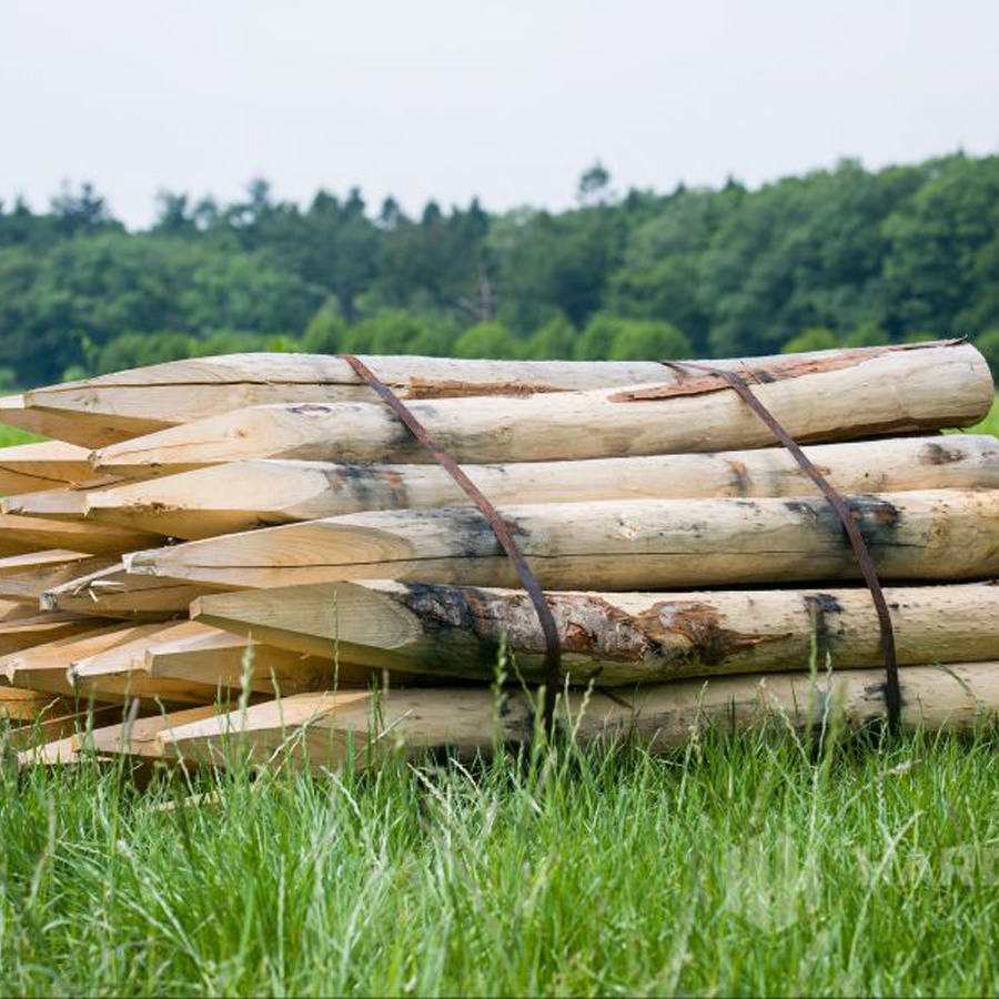 Kastanje paal - ontschorst - gepunt 3m diameter 14/16 cm